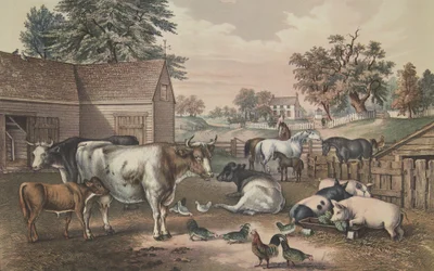 Amerikanischer Bauernhof - Abend